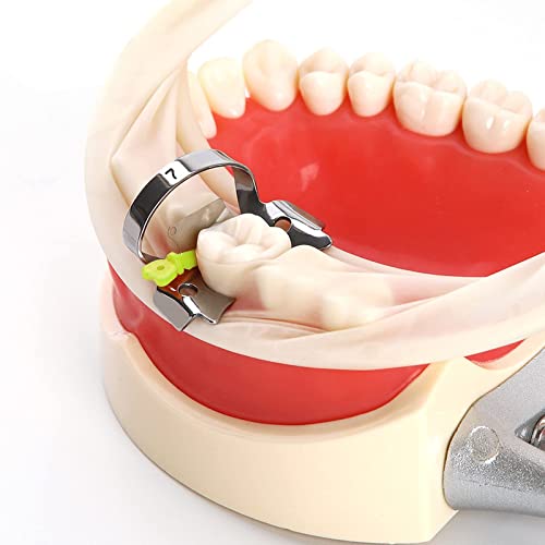 Ортодонтска матрица на Дамузи, клинови заби за заби, интерпроксимален клин чувар со метален пластичен клин нож со заштита Стоматолошки