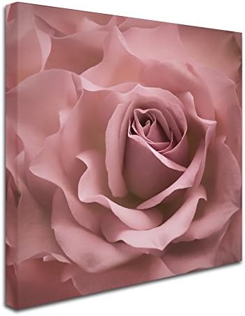 Misty Rose Pink Rose од Cora Niele, 35x35-инчен платно wallидна уметност