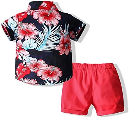 Дете за бебиња за бебиња ги поставува хавајските облеки, кошула за кратки ракави за новороденчиња од кратки ракави+костуми за шорцеви
