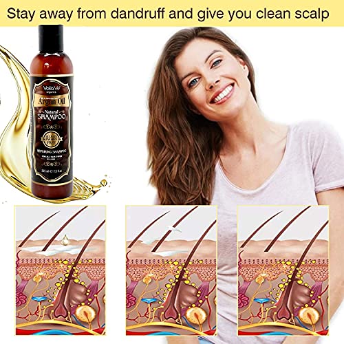 Voilave мароканско аргано масло шампон - навлажнувачки шампон за оштетена, слаба коса третирана со боја и сув скампон - хидрантен шампон за