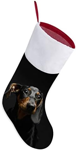 Кутре Дахшунд куче во темни Божиќни чорапи порибување на Божиќ дрво санта украси што висат украси за одмор на камин 16,5 “