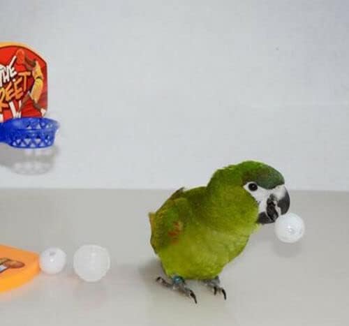 BodaCon 20 × Pet играчки за миленичиња Бел топки Шарена топка за птици за gidgie finch папагал кучиња мачки подароци