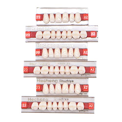 84 ПЦС Стоматолошка синтетичка смола Пробрка за заб 3 поставува лажни заби за заби за хорор за Ноќта на вештерките 23 А2