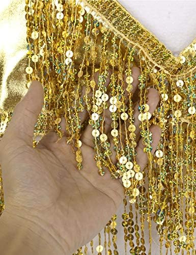 Mssemis Woman Woman Belly Dance Costume Sequin Tassels Bra Top Fringe Hip Festival Festival Rave Carnival Outfit