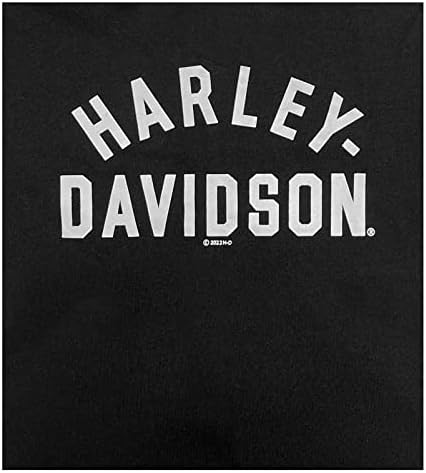 Лого-лого на Харли-Дејвидсон Биг Мом