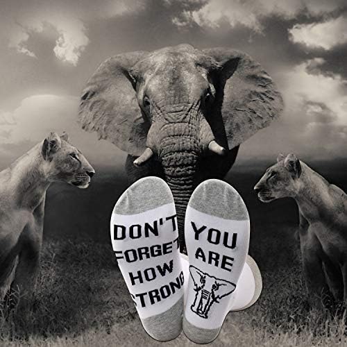 Чораповите за слонови на JXGZSO не забораваат колку сте силни инспитални слонови цитат чорапи Подарок за lубител на слонови