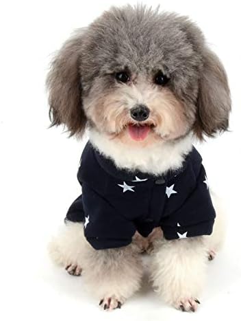 Ранфи мало кучиња џемпер палто палто руно пуловер кученце траки зимски чивахуа облека девојче момче јакна удобна памучна облека сина м