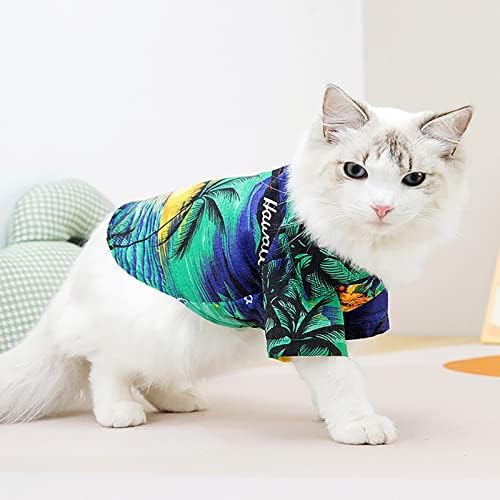 Симпатична кошула за мачки кучиња зимски пуловер кучиња удобност меки дуксери за Ноќта на вештерките кутре облека мало куче дуксерот миленичиња