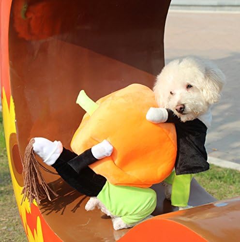 Chictry Dog Cat носи тиква костум за Ноќта на вештерките, фенси забава, топла јакна портокалова x-large