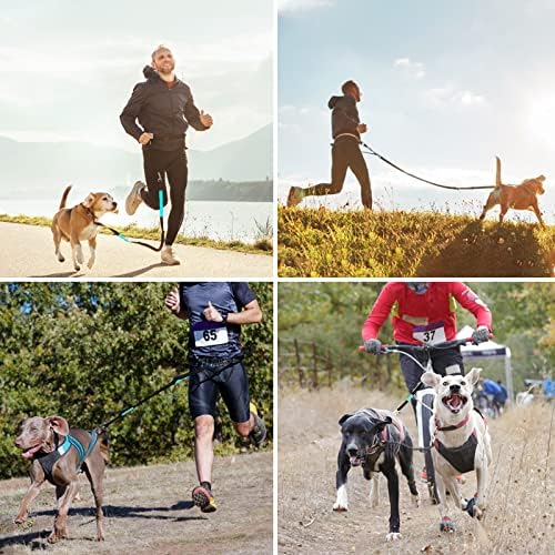 Двојно куче поводник | Бесплатни раце за кучиња за 2 кучиња | Домаќин на половината со двојно куче за одење и трчање и пешачење | Удобно апсорбирање