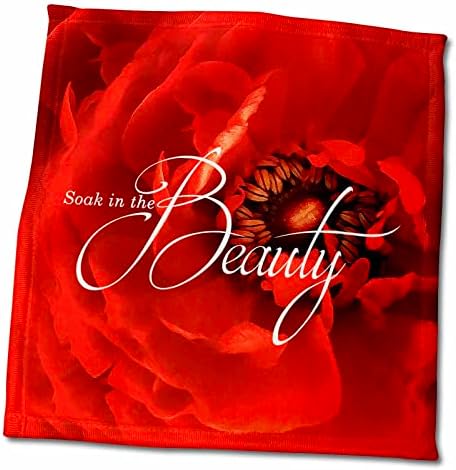 3drose светло црвено цвеќе цвет со впие во типографијата за убавина - крпи