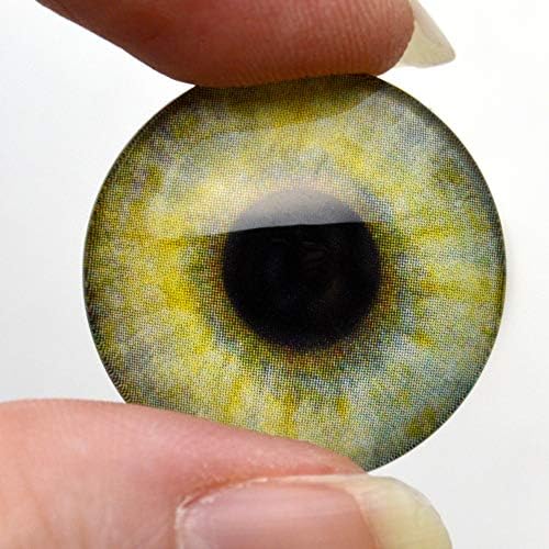 Реални човечки стаклени очи 5 пар пакети кабохони за накит или занаетчиски правење 5 парови рефус многу
