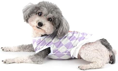 Фустан со кутре кутре за мали кучиња девојки јагода печатење домашно милениче кутре пролетно лето пуловер здолниште со Д-прстен дише