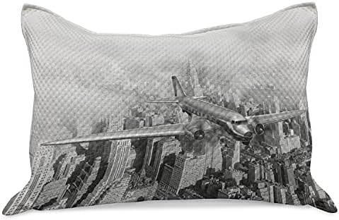 Ambesonne гроздобер плетен ватенка перница, носталгичен датум авион што лета над облакодерите во урбаниот живот во Newујорк, стандардната