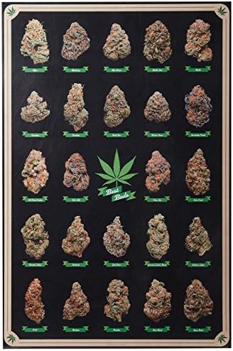 Рамка САД најдобри пупки постери за марихуана индивидуално валани