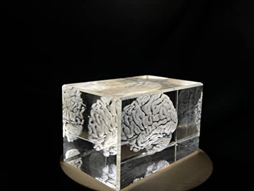 Мозочна уметност | 3Д врежан кристален чувар | Подарок/декор | Колекционерско | Сувенир | Персонализиран 3Д кристален подарок за фотографии