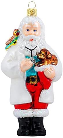 Ветеринар ветеринар Дедо Мраз со украс на кученца и птици