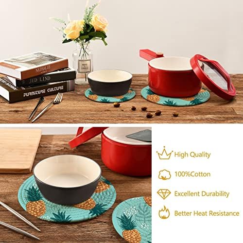 Xigua Aneyapple Trivets Set од 2 држачи за садови за декорација на кујна Поставете држачи за отпорни на топлина поставени за топли садови/тенџере/сад/чајник/држачи