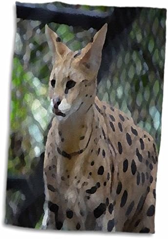 3drose Susans Zoo Zoo Animal - неколку погледи на лице со мачки - крпи