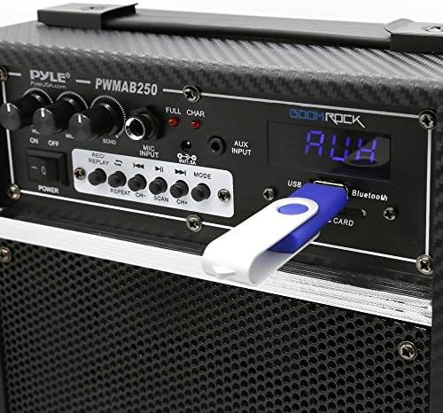 ПИЛ 300 вати на отворено во затворен безжичен Bluetooth Portable PA звучник 6,5 инчен Subvoofer Sound System со USB SD -читач на