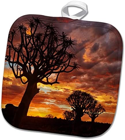 3drose kokerboom или треперење дрвја на зајдисонце, фосилен камп Мезосаурус. - Potholders
