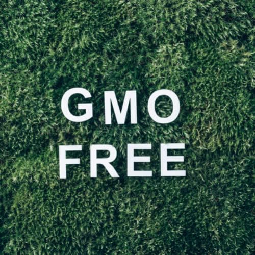 Мистични моменти | Есенцијално масло од каберу 500g - чисто и природно масло за дифузери, ароматерапија и масажа мешавини вегански ГМО бесплатно