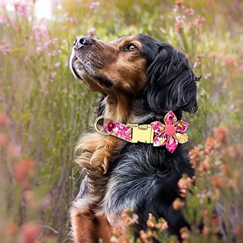 Девојка Куче Јака Со Цвет, Прилагодлив Симпатична Куче Јака, Мека &засилувач; Издржлив Цветни Куче Јака За Мали Средни Големи Кучиња, Цврста