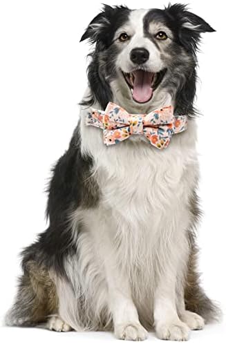 Кучен лак вратоврска, вабурс јака од кучиња лак, кучиња цветна јака, уникатна брава тока мека удобна, прилагодлива удобна цветна
