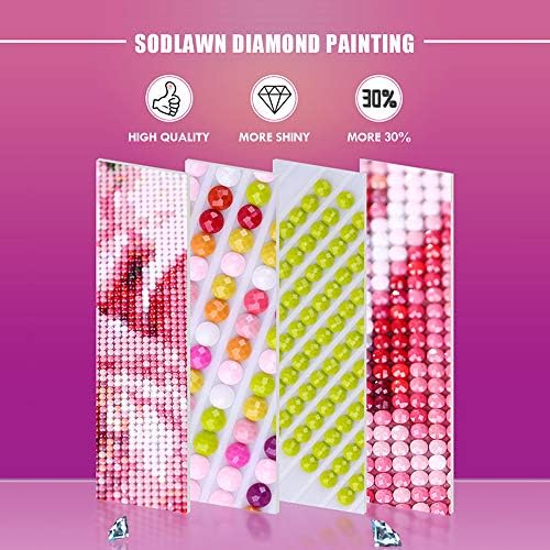 Sodlawn Diamond сликарство по комплети за броеви, 5D DIY дијамантска уметност целосна вежба кристална ринстон вез на Дотз, комплети