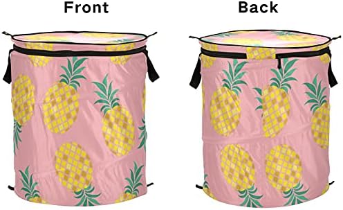 Ананас розово лето поп -поп -алишта за перење со капаци за складирање на капакот, склопувачка торба за перење за пикник за патувања
