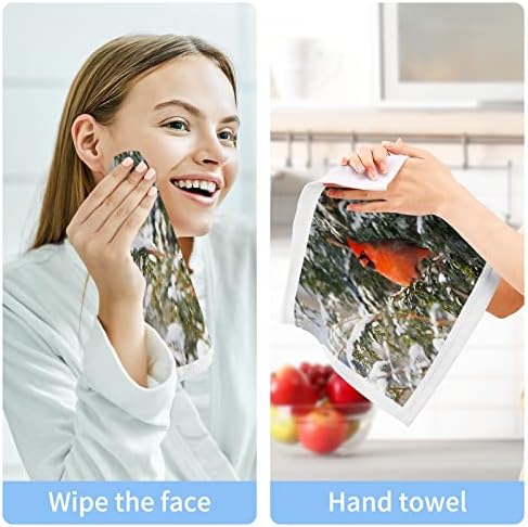 Кигаи 4 пакуваат северни кардинални мијалници - меки крпи за лице, крпи за теретани, хотел и квалитет на бањата, крпи за чисто