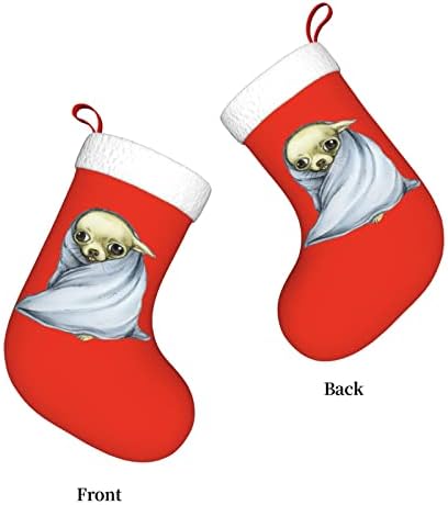 Yuyuy Chihuahua завиткана во ќебе Божиќно порибување Декорација на одмори Камино виси чорап 18 инчи чорапи