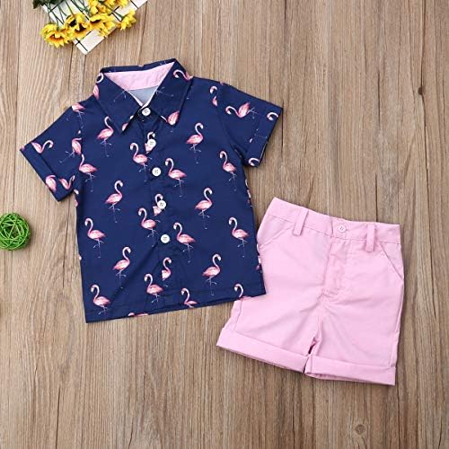 vchoohce toddler бебе момче лето облека за зајаче, печати кратка ракав копче надолу со кошула врвни цврсти бои шорцеви велигденски