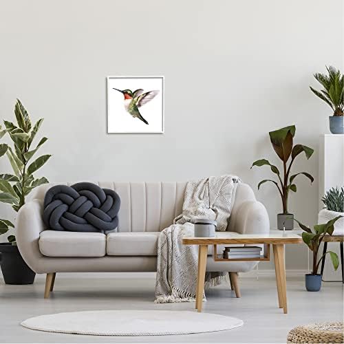 Студените индустрии летаат крилја на колибри кои лебдат случајно сликарство, дизајн од Студио Q