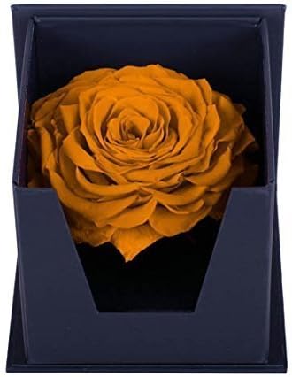 Рачно изработена Зачувана Кутија За Рози Од Цвеќе, Свежа Роза, Вечна Роза, Подарок За Денот На Вљубените, Годишнина, Роденден, Свршувачки