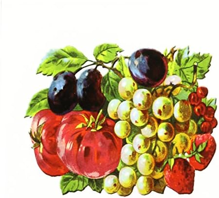 3DROSE CT_170659_1 Викторијанска група овошје со сливи, грозје, јагоди и домати-керамички плочки, 4-инчи