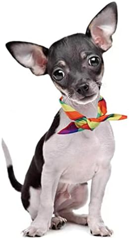 Gadpiparty 1 Постави костим на виножито куче Виножито лента за шамија Туту здолниште куче ЛГБТ геј гордост Бандана за додатоци