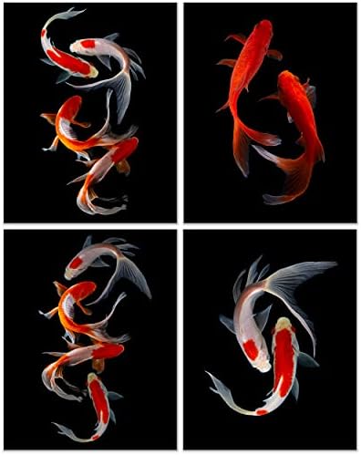 Кристално платно отпечатоци од риба Фотографија со риби - сет од 4 инчи сјајно монохроматско црно портокалово бело животно минималистички