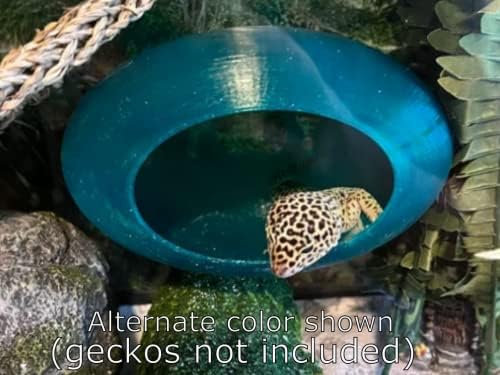 Stroodies гигантски Bubbleloft Hide for arboreal geckos | Особено возрасни луди | Вклучува 4x чаши за вшмукување |