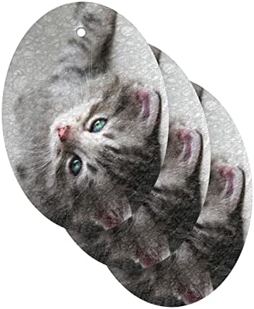 Алаза Мала маче мачка лежејќи на сив под природен сунѓер кујнски целулоза сунѓери за садови миење на бања и чистење на домаќинства,
