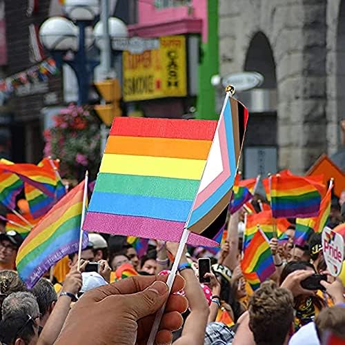 Мини Виножито Стап Знаме, 10пак 5 х 8 инчен Заедница Геј Гордост Лезбејка Трансродовите Бисексуалци Знаме, Пан-Родов Напредок Знаме За Гордост