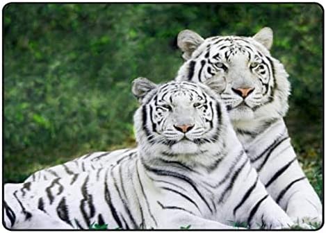 Ползи во затворен тепих игра мат бели тигри во шума за дневна соба спална соба едукативна расадник под подрачје килими 80x58in