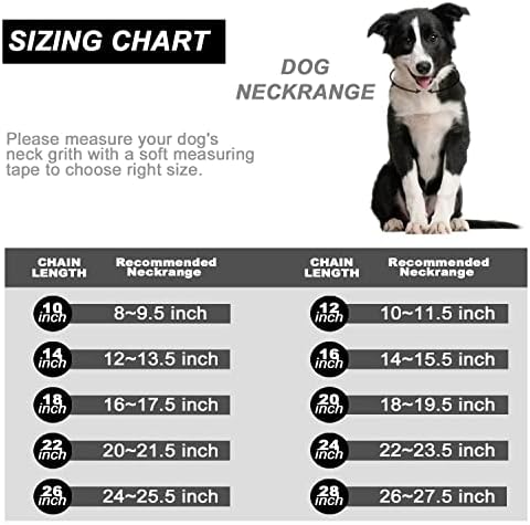 Јака за кучиња со цирконија заклучување на 14мм сребрена метална кутре јака луксузно кучиња што бликаат ѓердан мал медиум