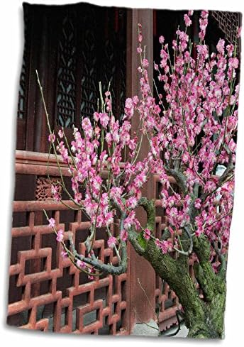 3дроуз Чиан, Шангај. Ју Јуан Градини, розова пролет цути на дрво. - Крпи