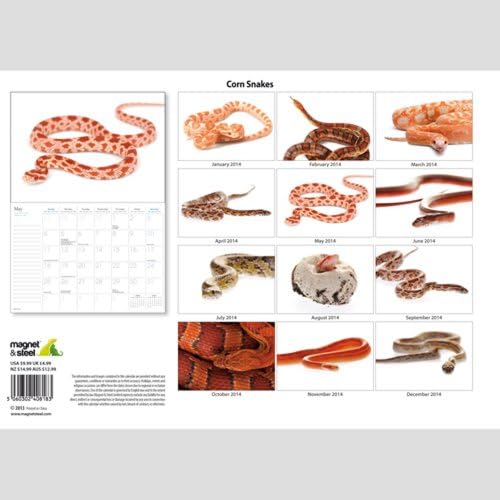 Пченка Змија 2014 Ѕид Календар