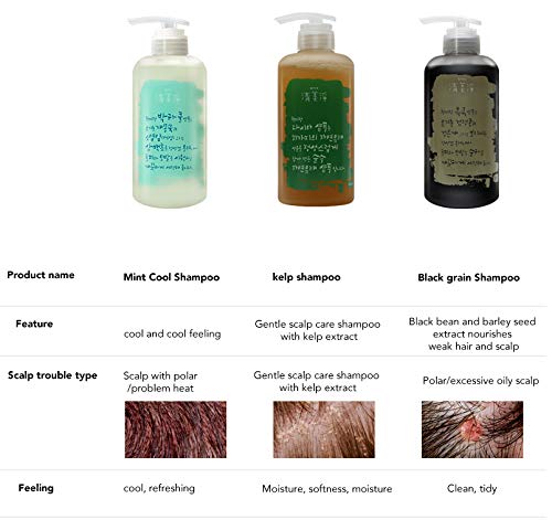 [Chungmijung] Келп Мал скампон шампон првут Шампон 500 мл-органски 18 состојки од природата за чувствителна кожа корејска кожа,
