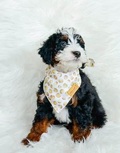 Willow Creek Pet Compel Bandana Charana за кучиња и кутриња | Luxe 4 пакет | Двојна слоевита издржлива ткаенина | Симпатична и модерна | Сите раси