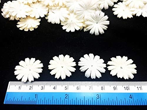 50 компјутери. Цвеќиња со хартија од маргаритка 25 мм. Надвор од бела боја ливче цвет, умираат исечоци од црница, цветни занаети рачно