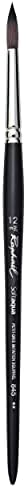 Синтетичка верверица на Рафаел Softaqua Синтетичка верверица, тркалезна, 10, црна боја