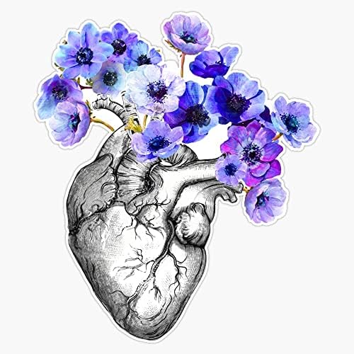 срце, човек, анатомија, Сини цвеќиња Налепница Браник Налепница Винил Налепница 5